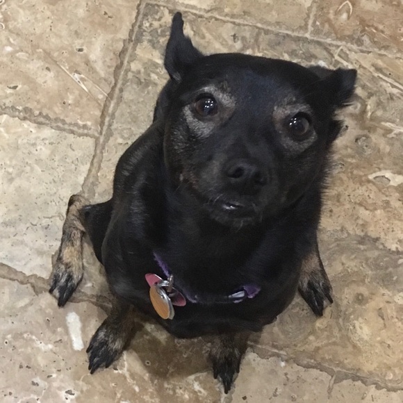 Hi There, Poshers! 👋 - Picture 3 of 5